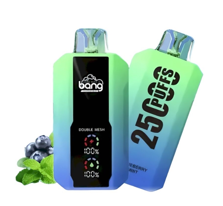 Bang 25000 Bouffées Vape - Blueberry Mint : la fusion parfaite entre technologie de pointe et plaisir gustatif
