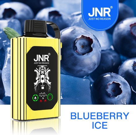 Découvrez la boîte à chicha JNR Vape - Glace aux Myrtilles : Une Explosion de Fraîcheur et de Style