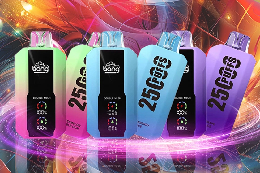 Bang 25000 Bouffées Vape - Blueberry Mint : la fusion parfaite entre technologie de pointe et plaisir gustatif