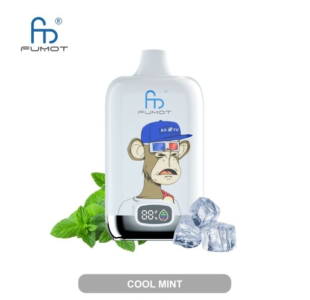 Fumot Original RandM Digital Box 12000 Vape - menthe fraîche : Une expérience de vapotage révolutionnaire pour la Suisse